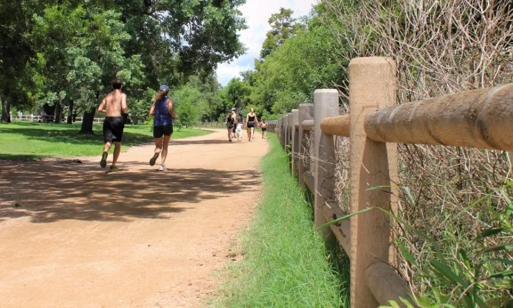 Places to Hike in Austin